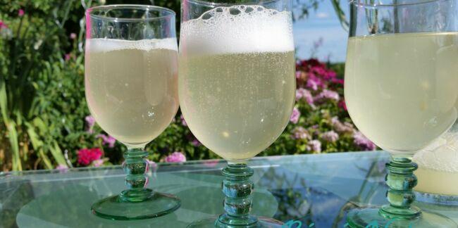 Limonade de sureau ou champagne des fees